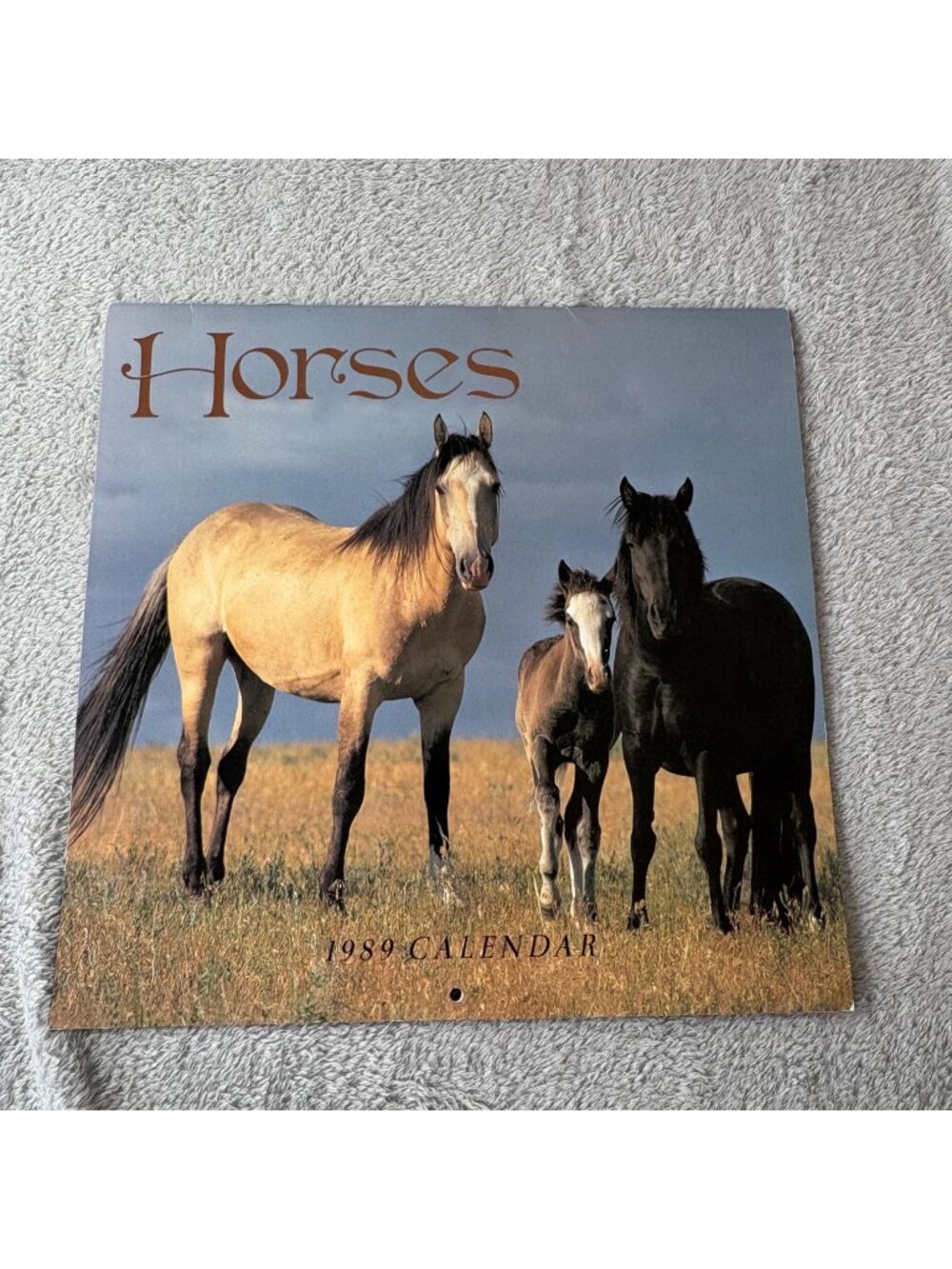 Vintage Horse Calendar 1989 has writing inside Crown Publishers